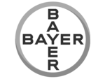 Bayer-Logo2-modified