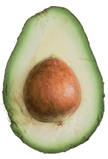 picture-aguacate